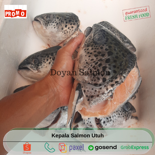 

FRESH PRODUK Kepala Salmon 2pcs / Kepala ikan salmon Utuh - 700Gr up