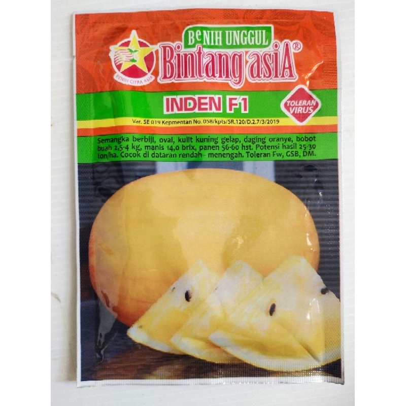 Benih Semangka INDEN F1 - Bibit semangka kuning golden bintang Asia