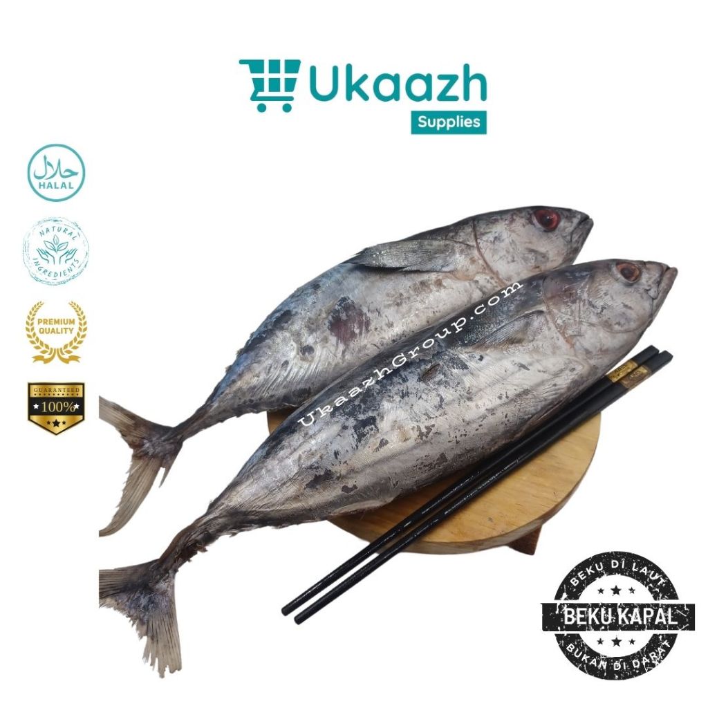 

Ukaazh Ikan Baby Tuna 1 Kg 1.000 Gram Beku Kapal Laut Frozen Segar