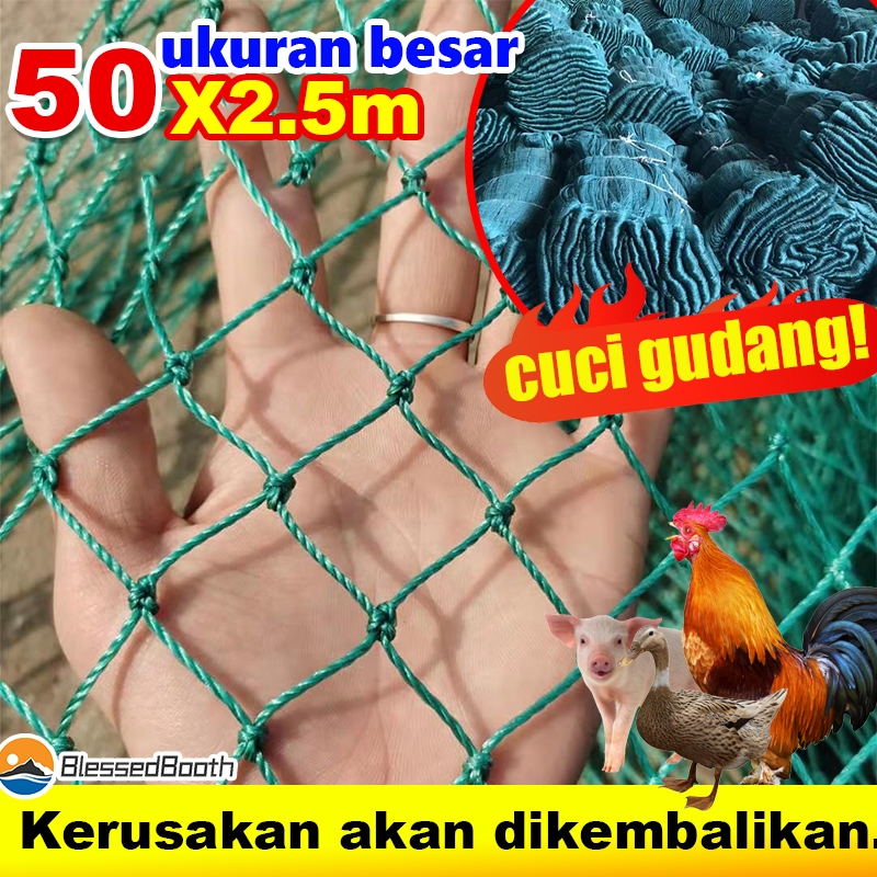 Tidak buruk selama 100 tahun Jaring Ayam Jaring Pagar Ayam Jaring Pagar Tanaman Lebar 2,5 meter x pa