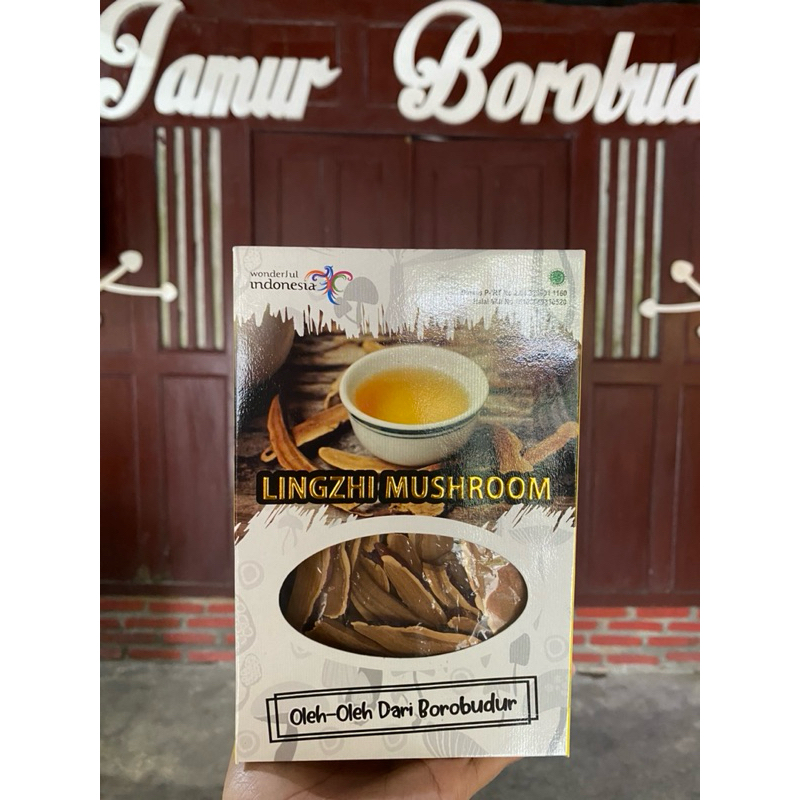 

Jamur Lingzhi Obat Herbal Cina