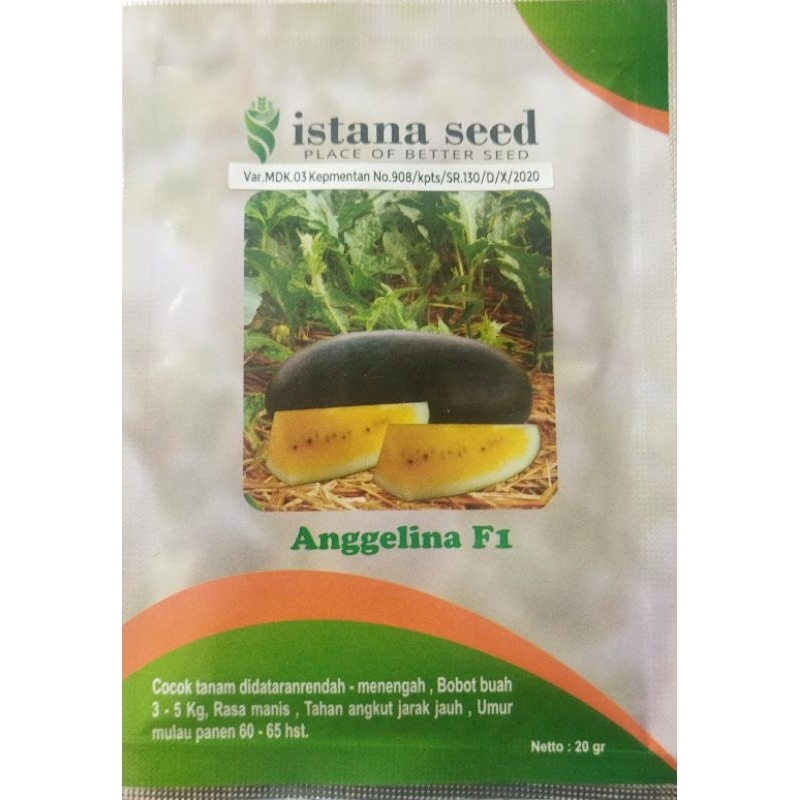 

Semangka Angeline F-1