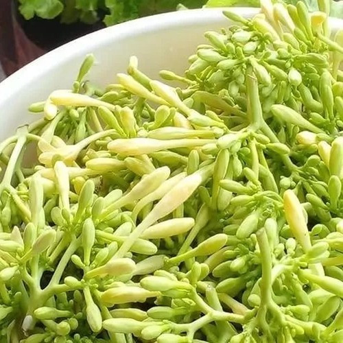 

Bunga Pepaya Fresh 250g