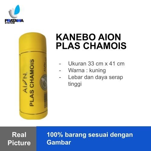 KANEBO AION PLAS CHAMOIS
