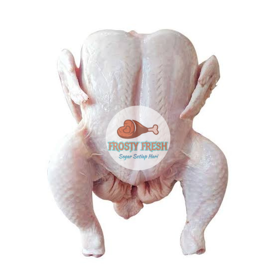 

Ayam Karkas Broiler 800-900 gram (free potong)