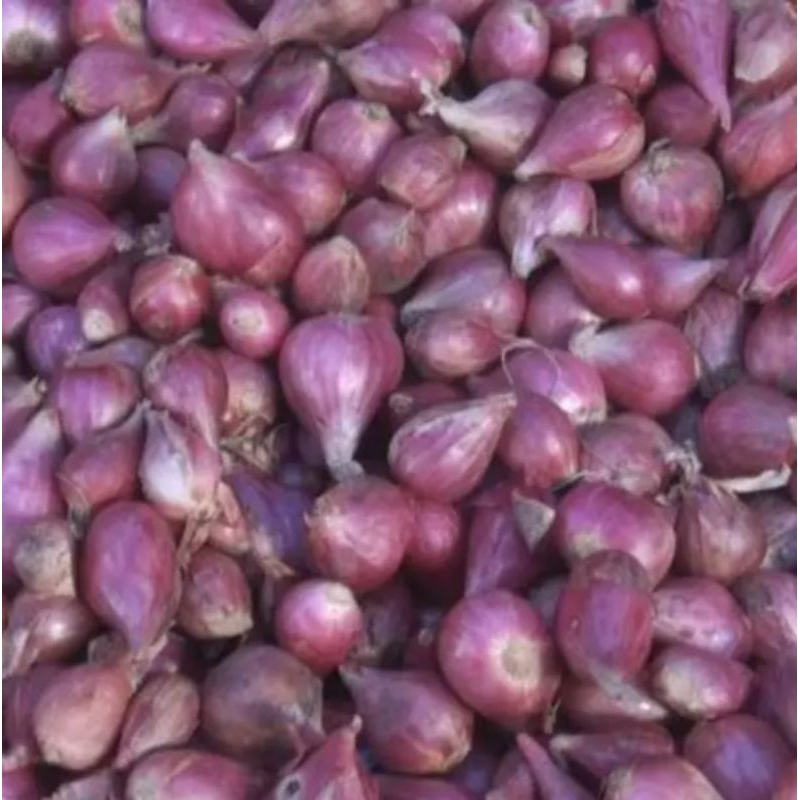 

bawang merah 1 kg termurah (ukuran campur)