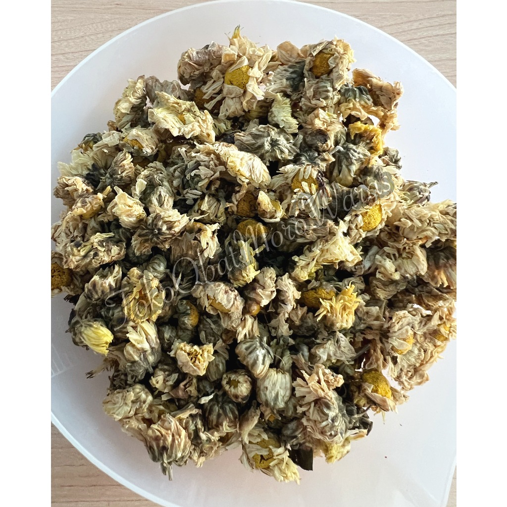 CHRYSANTHEMUM CIHUA 10GRAM BUNGA TEH KRISAN CHRYSANTHEMUM kembang seruni