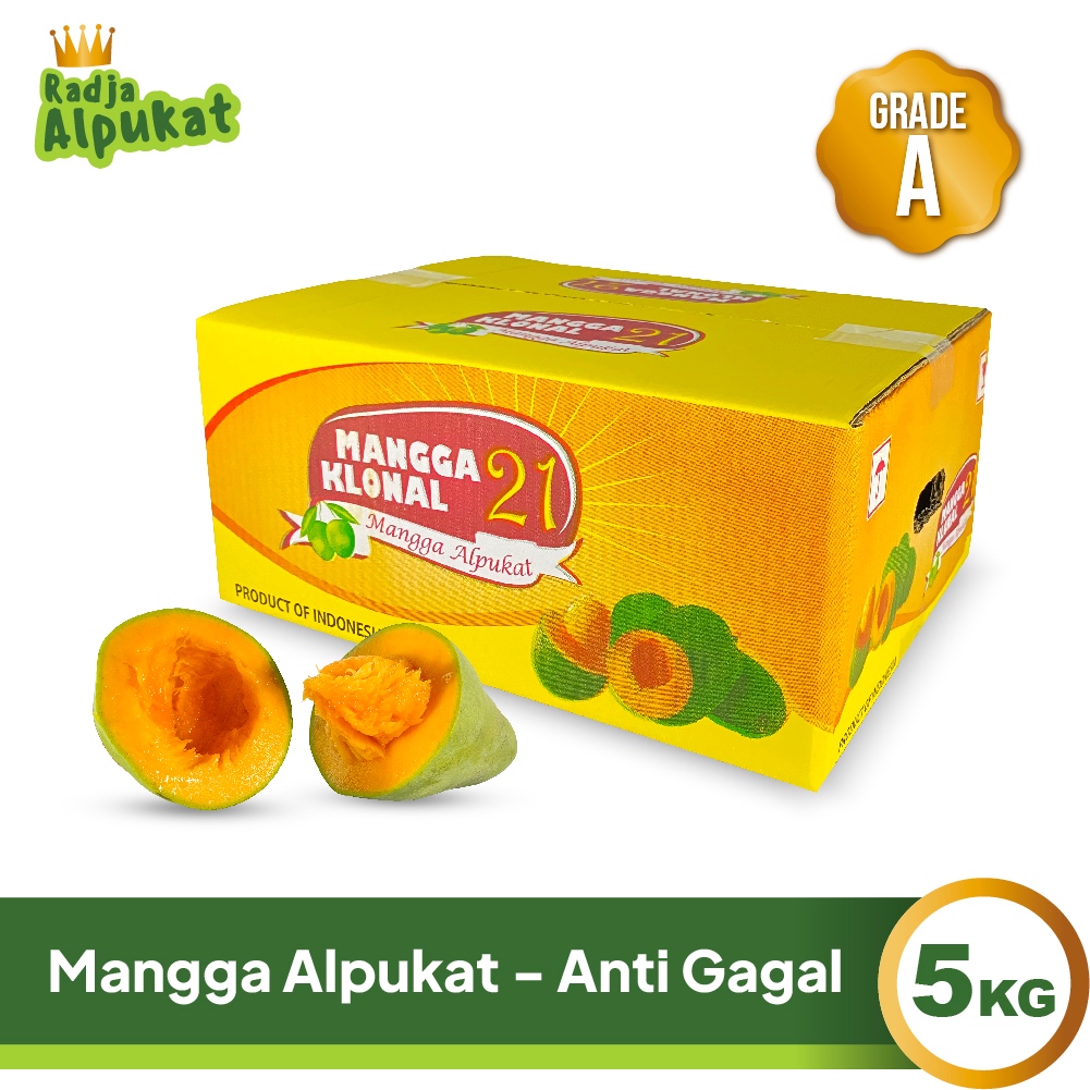 

Mangga Alpukat Super Grade A - Anti Gagal - Kemasan Dus 5 KG