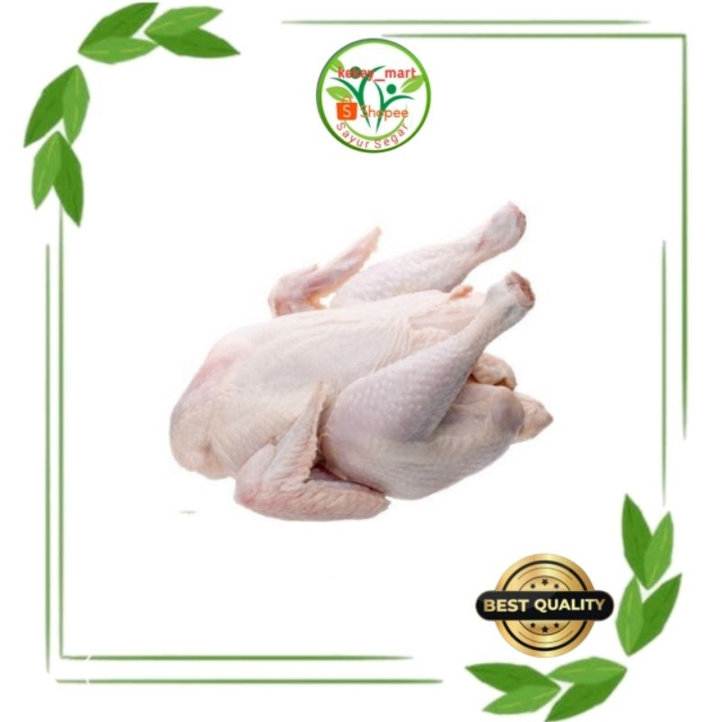 

AYAM NEGERI PER EKOR