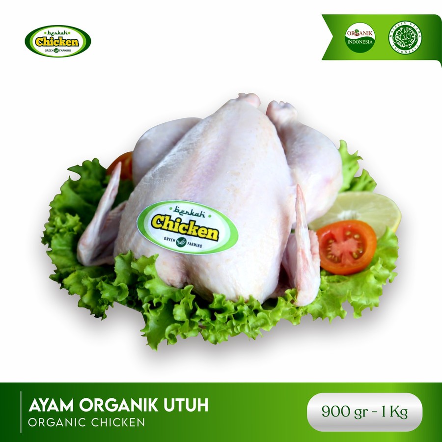 

Berkah Chicken - Ayam Organik 1kg - Ayam Probiotik Bebas Hormonal - Ayam Free Range