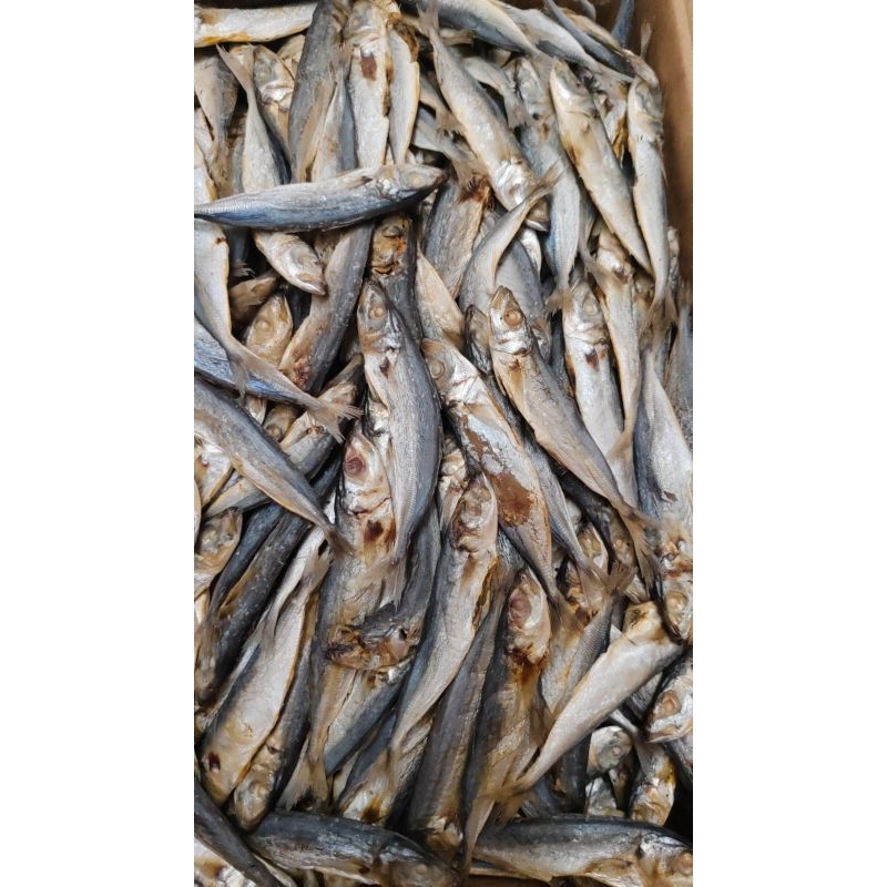

Ikan asin klotok 500gr