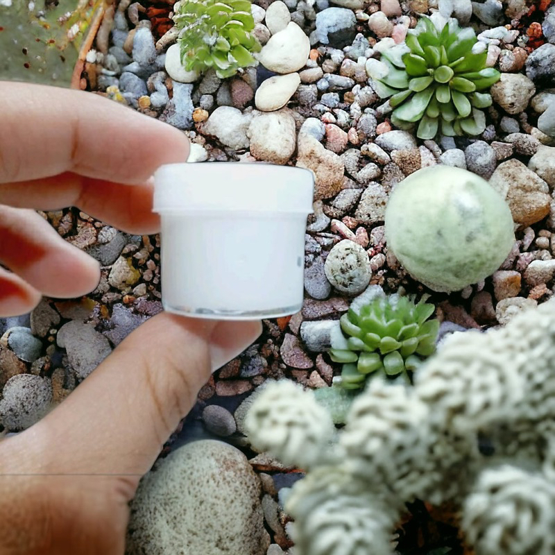 Salep serbaguna racikan spesialis kulit untuk atasi eksim,gatal alergi,scabies,dan psoriasis