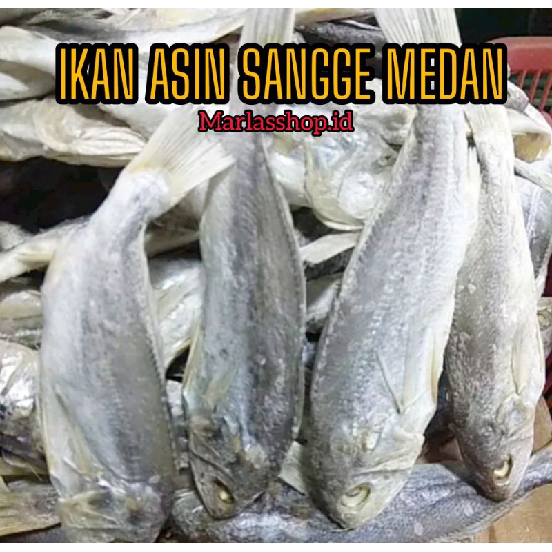 

Ikan Asin Kepala Batu/Gulamo 1Kg