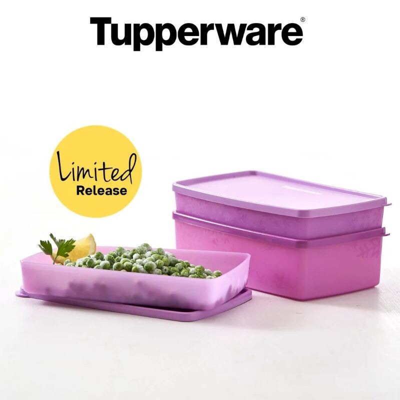 Frozen rectangular set | tupperware