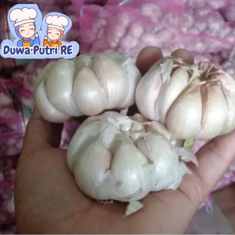 

bawang putih super murah 500gr