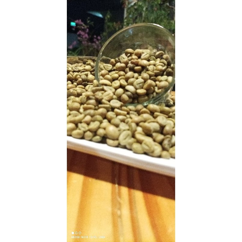 

Green Bean Robusta Gunung Arjuna 1KG