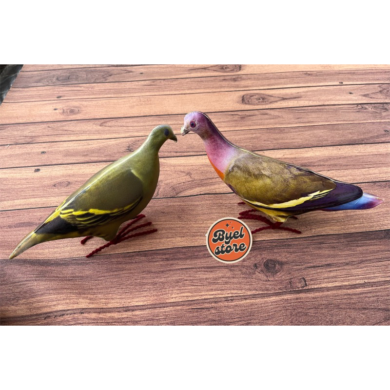 Paket Jontrot Punai Hijau Jantan dan Punai Gading Betina - Decoy Burung Punai Sepasang