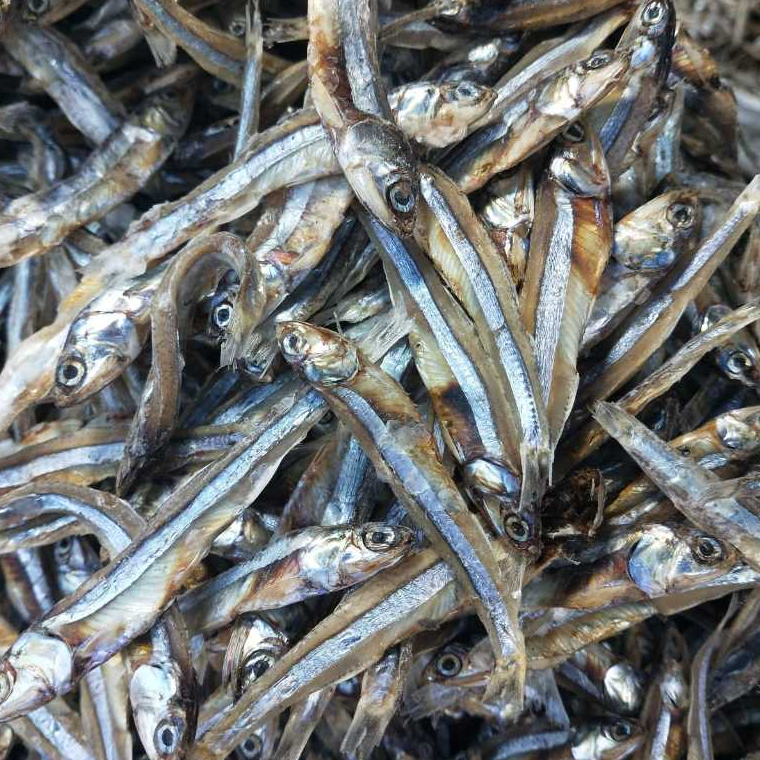 Ikan Teri Jengki Aceh