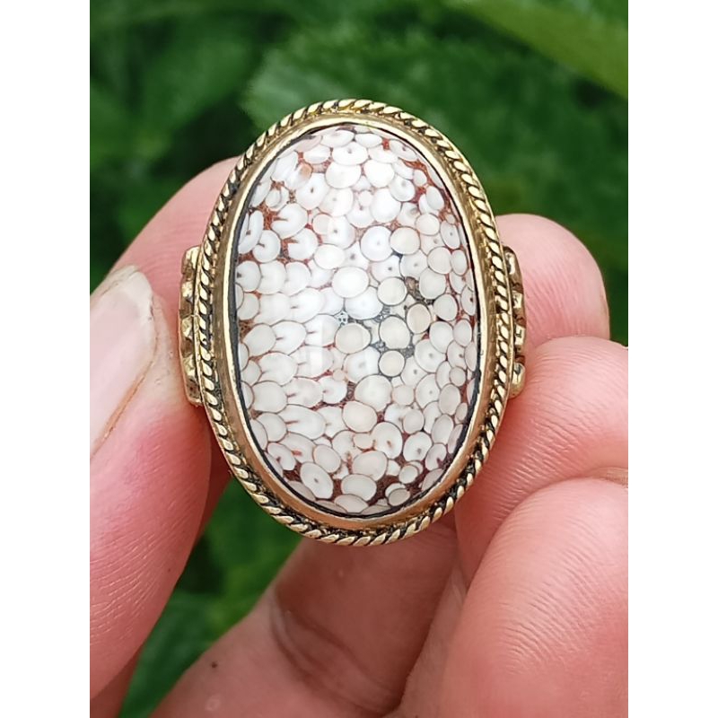 Natural Jipen Madura RR1