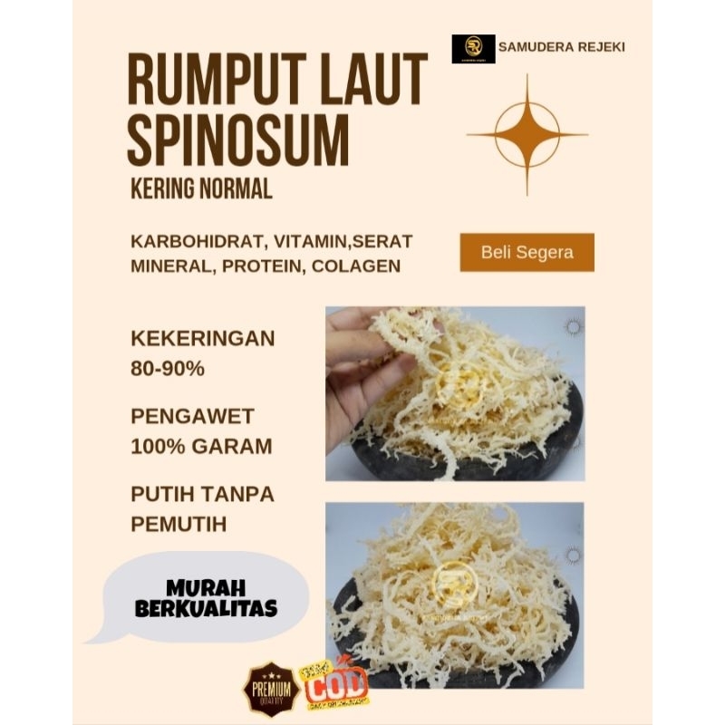 

Rumput Laut Spinosum kering normal kemasan 1kg