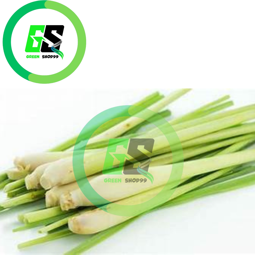 

Serai Segar 250 Gram