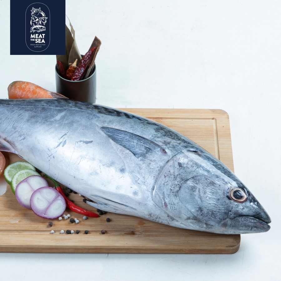 

Ikan Cakalang ● Fresh Frozen - DIBERSIHKAN
