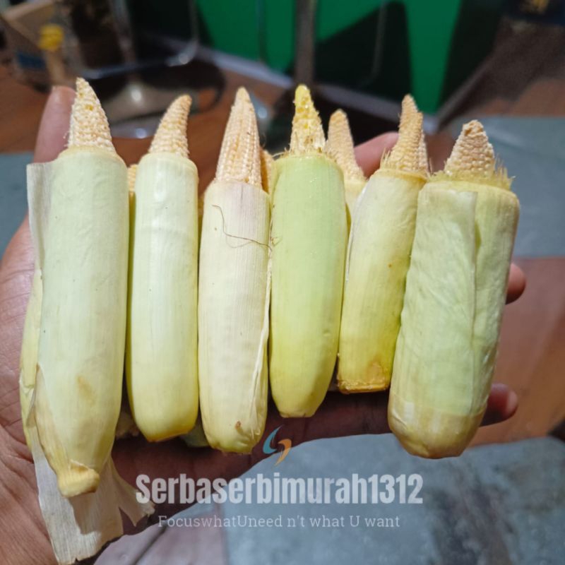 

Soleng/Jagung Muda 250gr