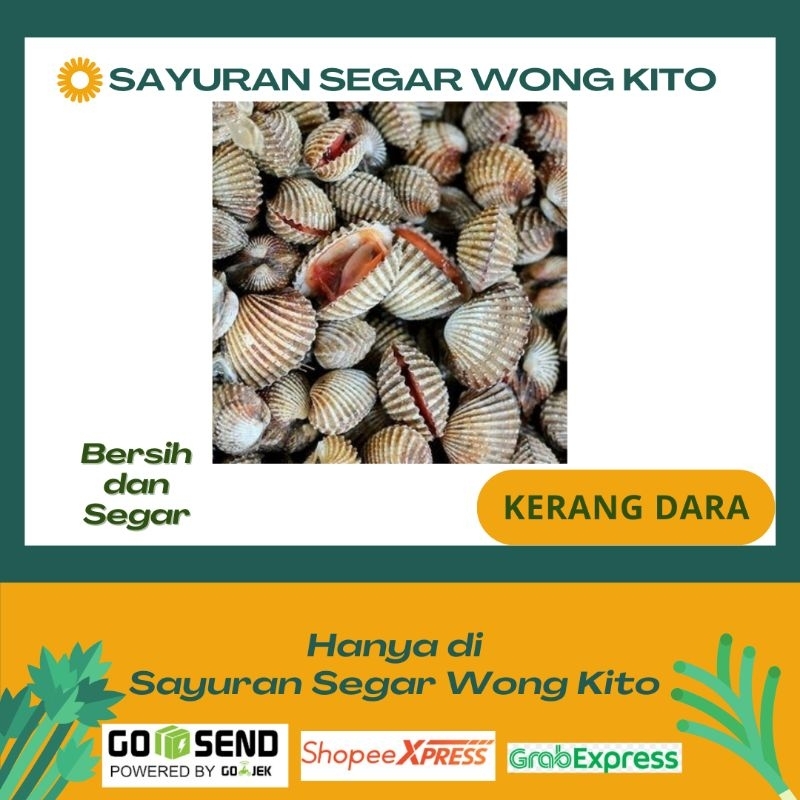 

Kerang Dara Segar - Sayuran Segar Wong Kito