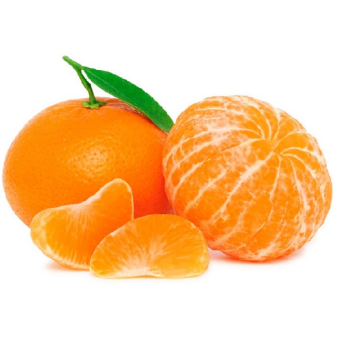 

benih/biji/bibit buah jeruk mandarin