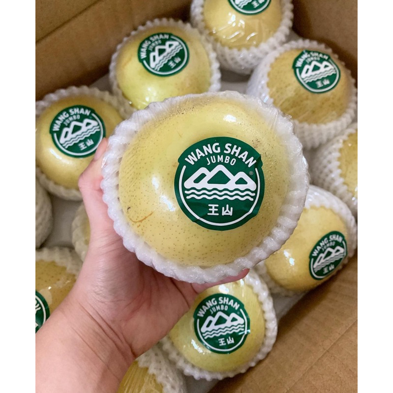 

Pear Wangshan Golden Jumbo| Pear premium |Pear enak |GBMfresh
