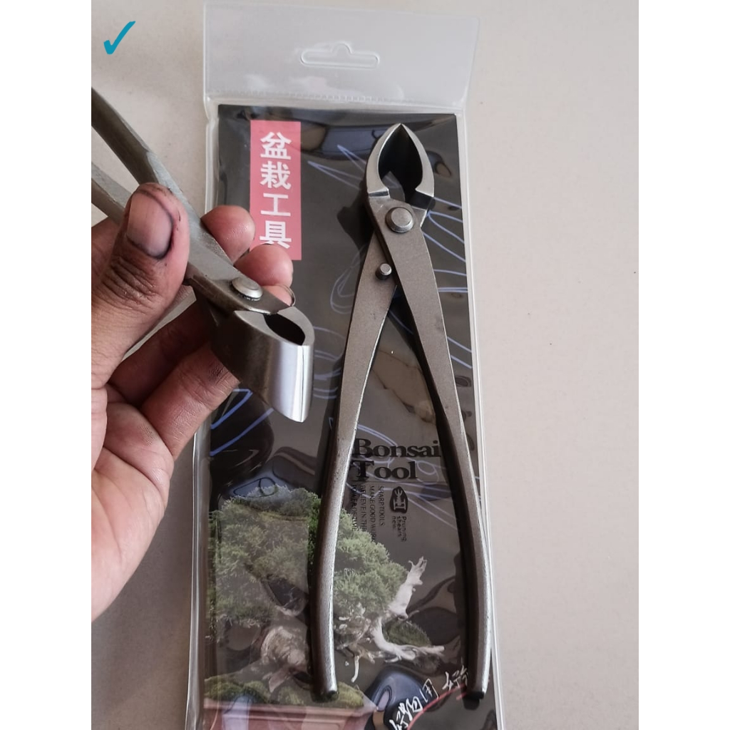 Catok Bonsai Miring 21 Cm Import Berkualitas Alat Catut Bonsai