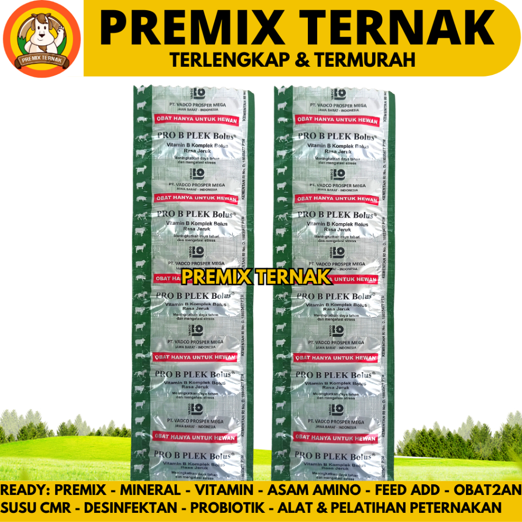 Vitamin B Kompleks Bolus Rasa Jeruk untuk Sapi Kambing Domba 5 Bolus