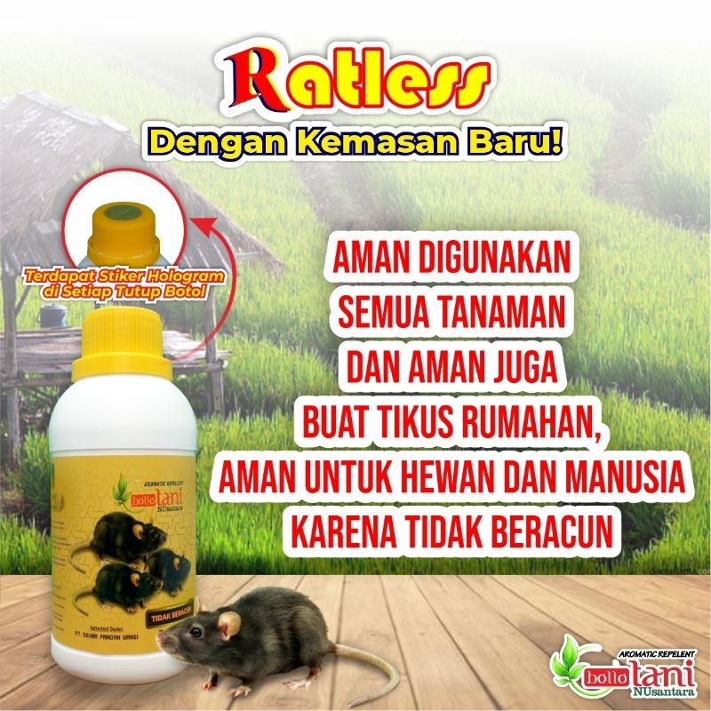 pengendali hama tikus aman buat manusia dan tanaman