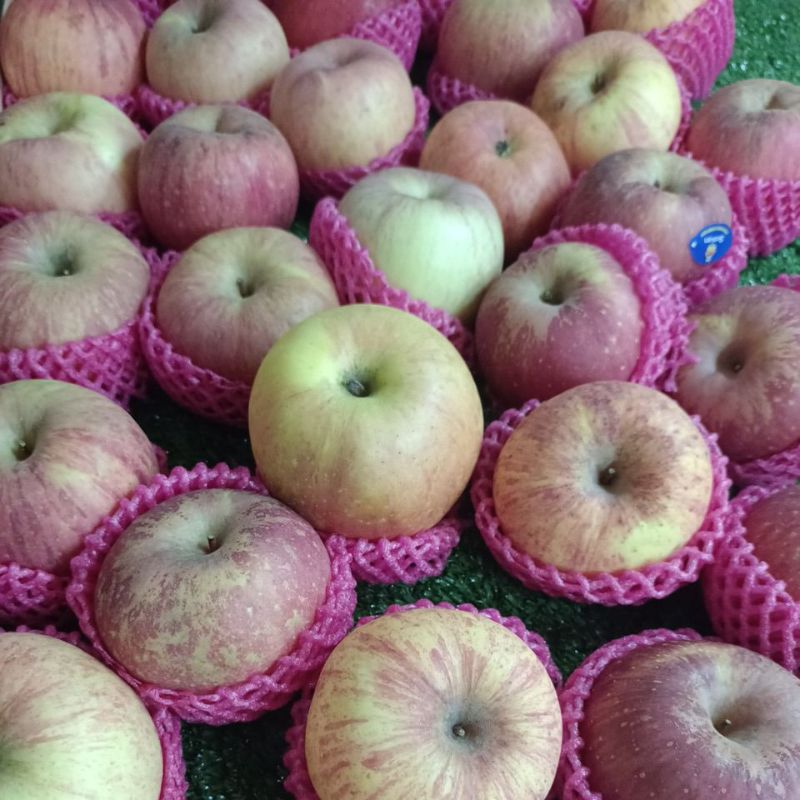 

APEL FUZI SEAKEN MANIS KRENYES@500 GR