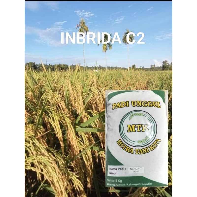 benih padi INBRIDA C2 kemasan 5 kg