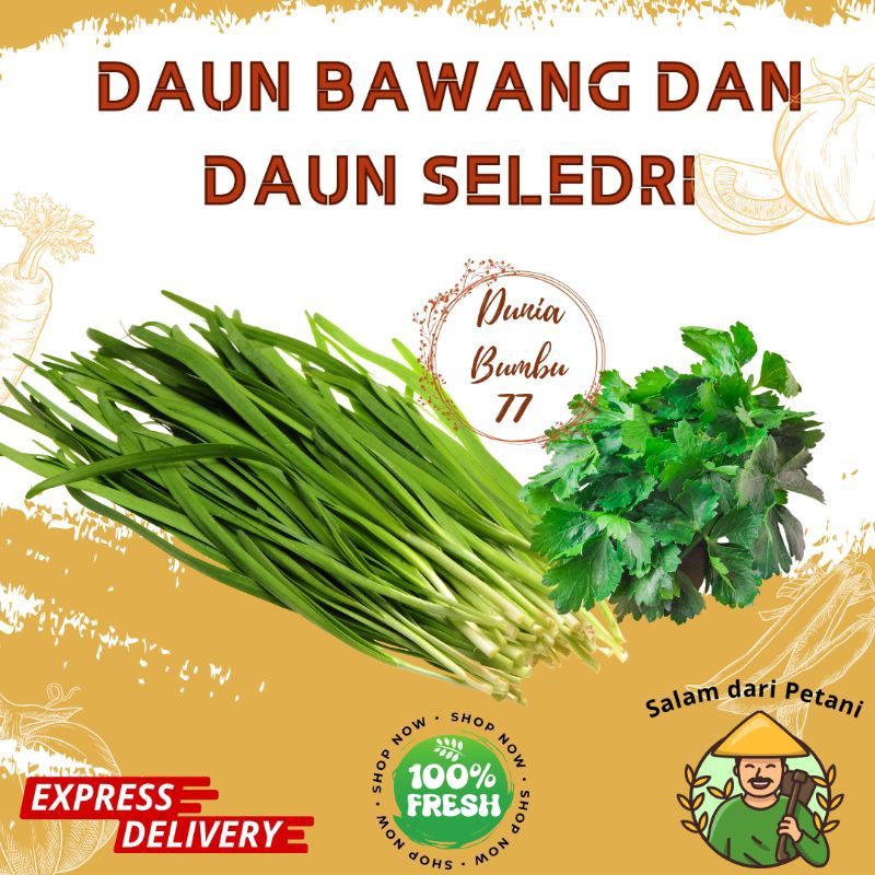 

Daun Bawang dan Seledri per ikat