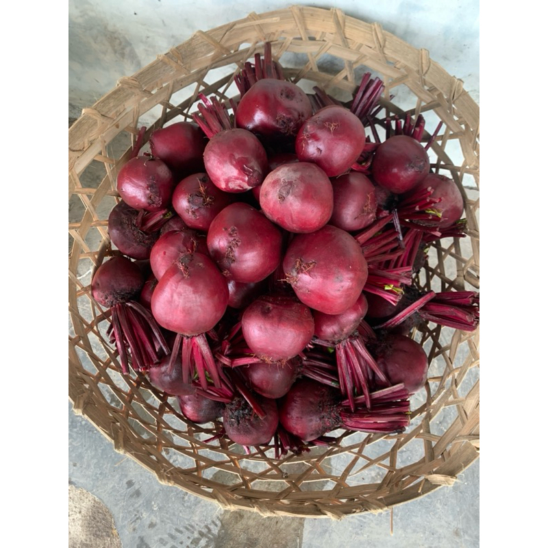 

NOTA LIVE BUAH BEAT/BEATROOT