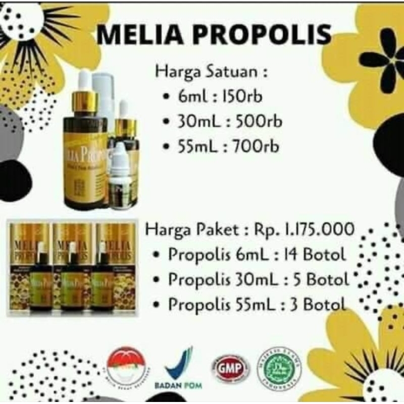 MELIA PROPOLIS,MELIA BIYANG