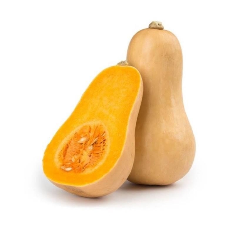 

labu madu butternut squash 1kg - 1,5kg
