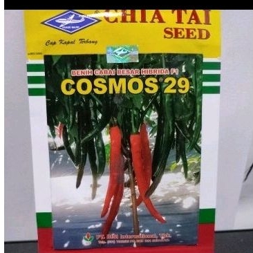 Cabe besar Cosmos 29
