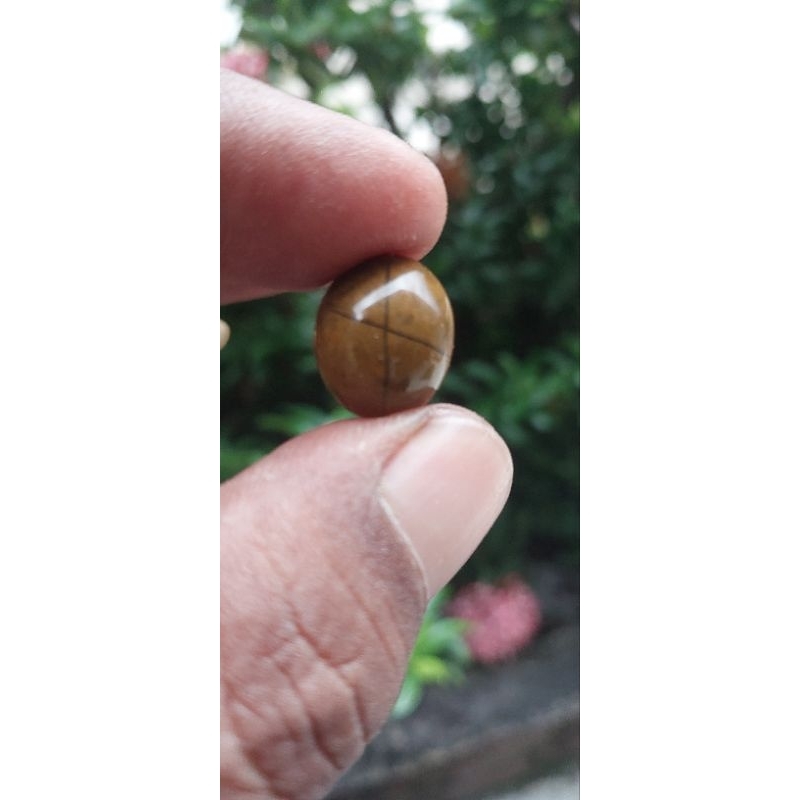 batu akik tapak jalak galih asem langka