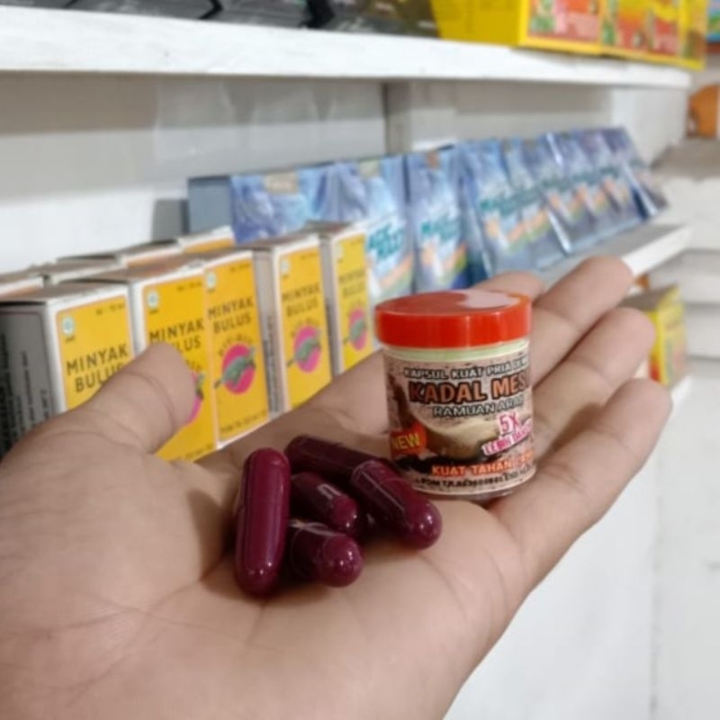 Obat Kuat Pria Tahan Lama Kapsul Dewasa Kadal Mesir