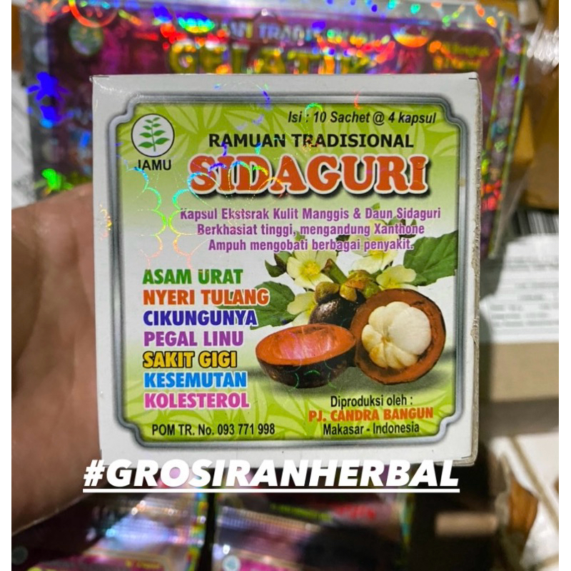 SIDAGURI KAPSUL ORIGINAL