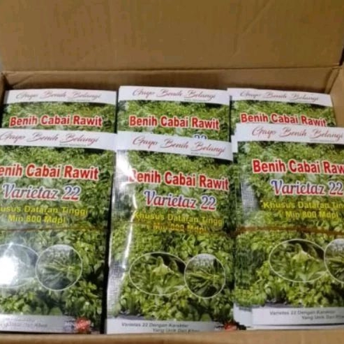 

Bibit Rabai Rawit Varietas 22 (Caplak Setan)