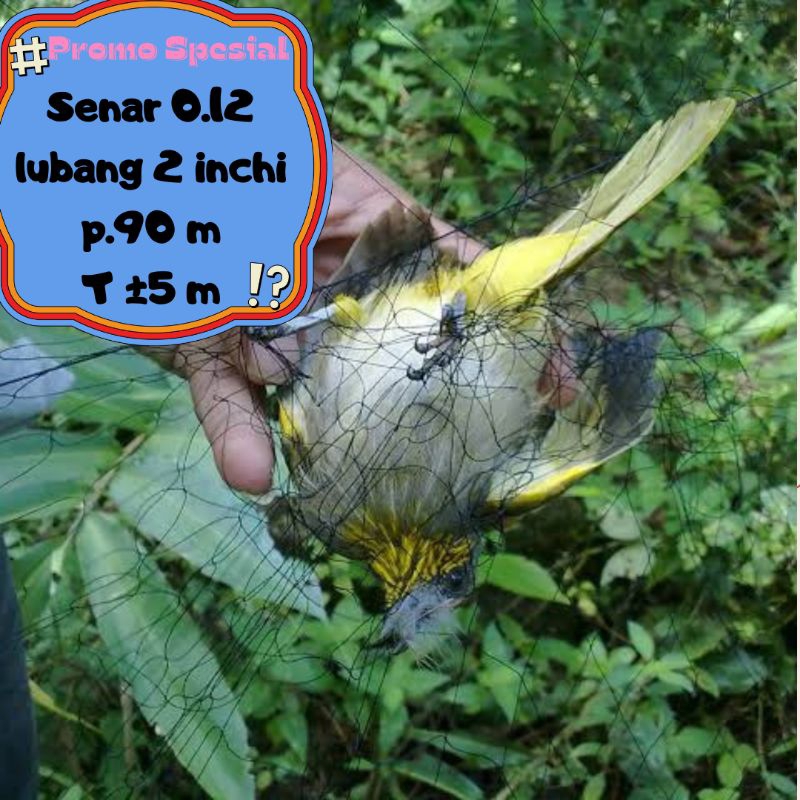 jaring burung kecil 2 inch 0.12 100md/100yds jaring burung hitam jaring burung lubang 2 jari
