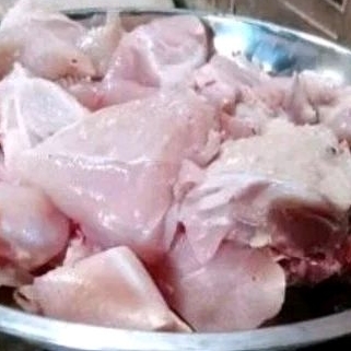 ayam potong
