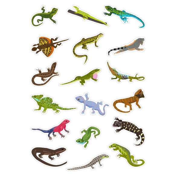 

Sticker Reptil Sticker Tumblr Sticker HP Sticker Deco