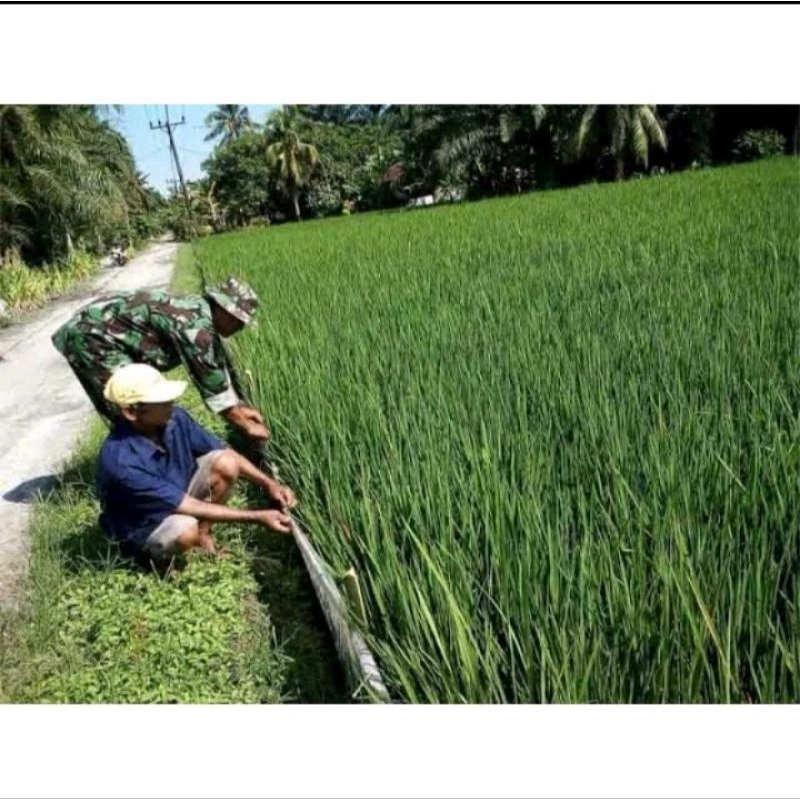 Plastik Pagar Sawah / Pagar Tikus per kg Bahan Tebal