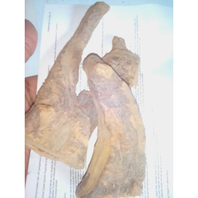 kayu klembak/menyan klembak ubo rampe 100g