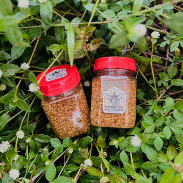 

Serbuk Sari Bee Pollen 100 gram